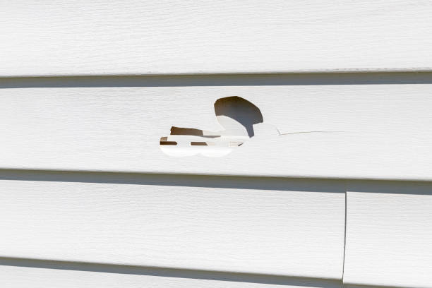 Best Siding Painting and Refinishing  in Conrad, IA