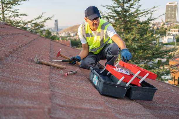 Best Fascia and Soffit Installation  in Conrad, IA